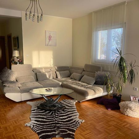 Apartment Nano Šibenik Esterno foto